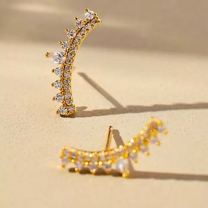 NWT curved crystal bar earrings